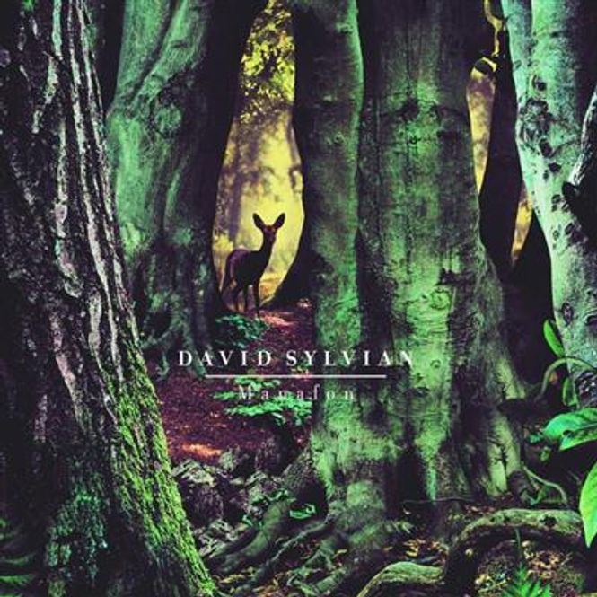 Hovedbilde David Sylvian - Manafon (CD)