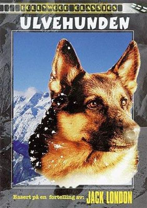 Hovedbilde Ulvehunden (1974) (DVD)