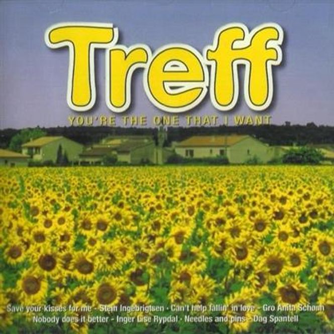 Hovedbilde Treff - You're The One That I Want (CD) Diverse Norske ...