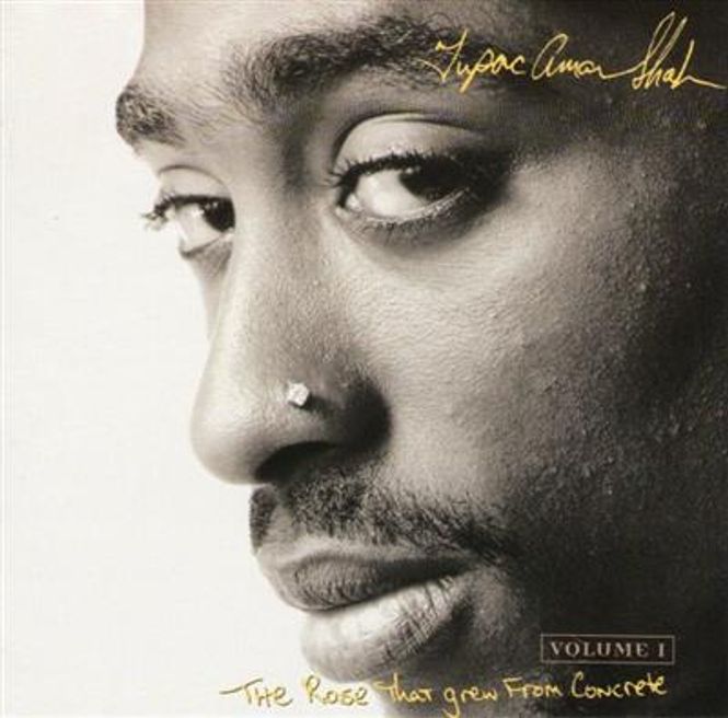 Hovedbilde 2Pac - Tupac Shakur - The Rose That Grew From Concrete ...
