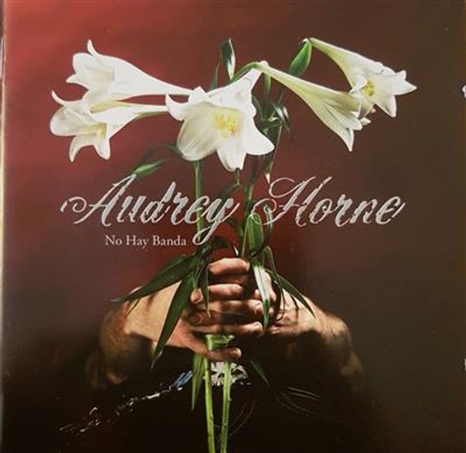 Hovedbilde Audrey Horne - No Hay Banda (CD)