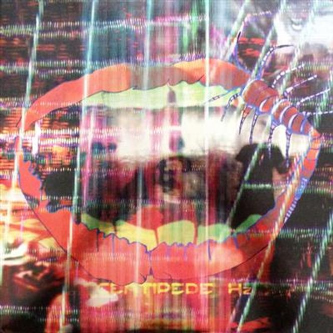 Hovedbilde Animal Collective - Centipede HZ (CD)