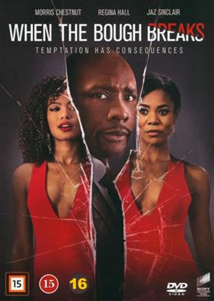 When The Bough Breaks (DVD)