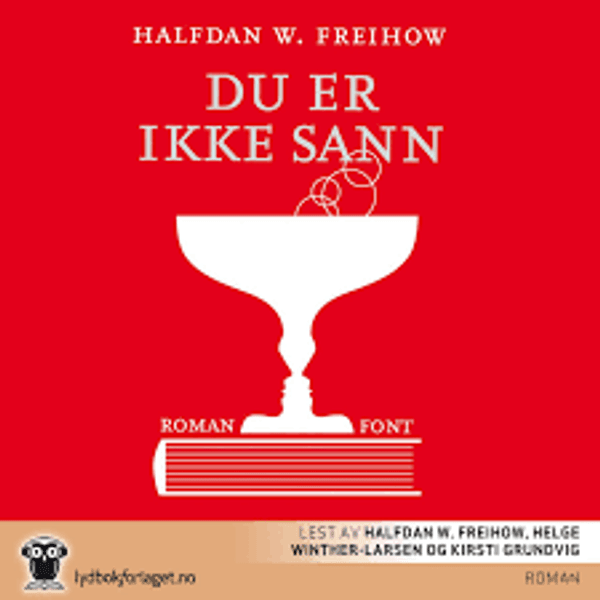 Hovedbilde Du Er Ikke Sann (Halfdan W. Freihow) (Lydbok-CD)